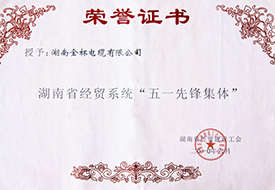 2010年度湖南省經(jīng)貿(mào)系統(tǒng)“無(wú)遺先鋒集體”.jpg
