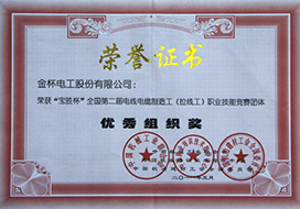 2011年度“寶勝杯”全國(guó)第二屆電線(xiàn)電纜制造工（拉線(xiàn)工）職業(yè)技能競(jìng)賽團(tuán)體優(yōu)秀組織獎(jiǎng).jpg