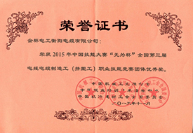 2015年度職業(yè)技能優(yōu)秀獎(jiǎng)證書(shū).jpg