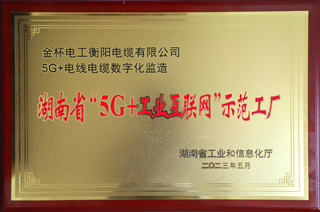 09 湖南省“5G+工業(yè)互聯(lián)網(wǎng)”示范工廠(chǎng).JPG