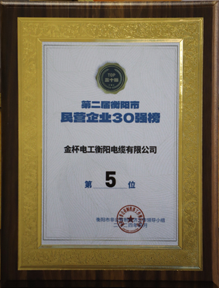 第二屆衡陽(yáng)市民營(yíng)企業(yè)30強(qiáng)榜第5位.jpg